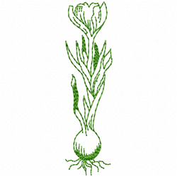 Garlic Embroidery Design 9 Garlic Embroidery Design 9